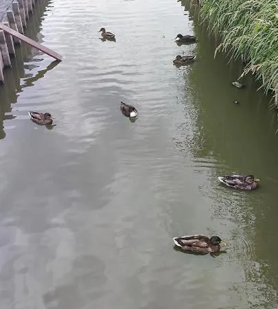 Holiday home Blauwe Lagune