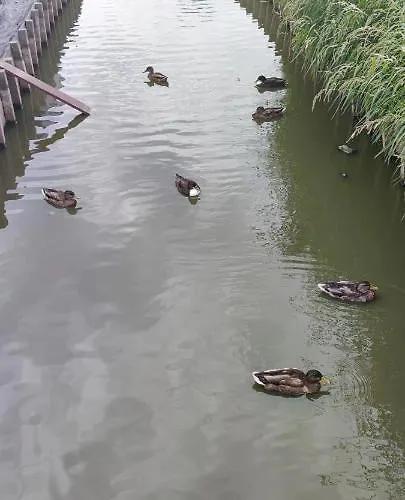 Nyaraló Blauwe Lagune