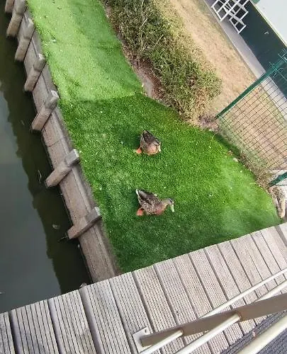 Blauwe Lagune Nyaraló *