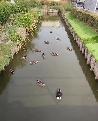 Blauwe Lagune Де-Хаан